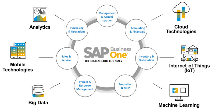 businessone1 businessone1